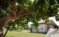 A Preganziol Rustico / Casale  in Vendita