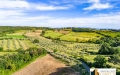 Vendesi a Massa Marittima Rustico / Casale 