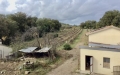 In Vendita a Campagnatico Rustico / Casale