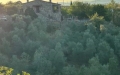 A Roccastrada in Vendita Rustico / Casale