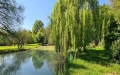 Vendesi Rustico / Casale a Riese Pio X