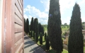 A Castelvetro di Modena in Vendita Ristorante / Pizzeria / Trattoria