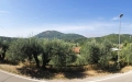 Ristorante / Pizzeria / Trattoria a Liberi in Vendita