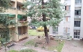 Trilocale in Vendita a Milano