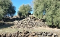 A Santa Maria di Licodia in Vendita Terreno