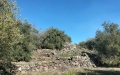 In Vendita a Santa Maria di Licodia Terreno