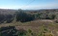 In Vendita Terreno a Santa Maria di Licodia