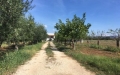 Terreno in Vendita a Ginosa