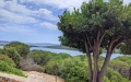 Vendesi Villa a Schiera a Santa Teresa Gallura