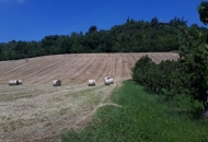 Terreno Agricolo in Vendita a Vignola