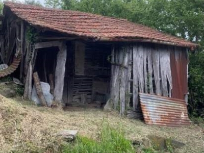 immagine annuncio 7 di 9