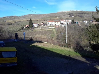 immagine annuncio 1 di 9
