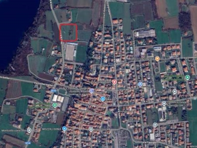 immagine annuncio 1 di 4