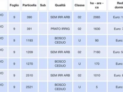 immagine annuncio 3 di 4