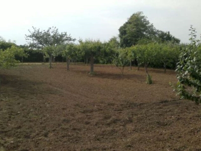 immagine annuncio 2 di 4