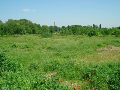 immagine annuncio 2 di 3
