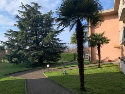 immagine annuncio 4 di 9