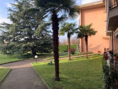 immagine annuncio 3 di 9