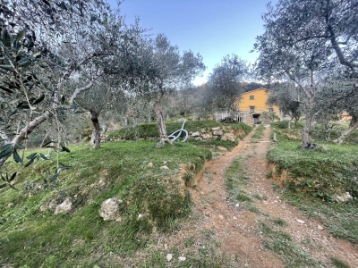 immagine annuncio 7 di 9