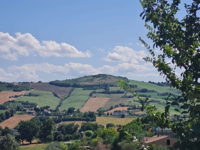 immagine annuncio 5 di 6