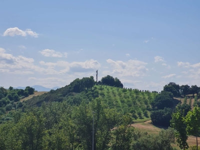 immagine annuncio 4 di 6