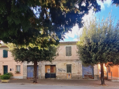 immagine annuncio 4 di 7