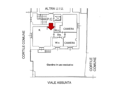immagine annuncio 3 di 7