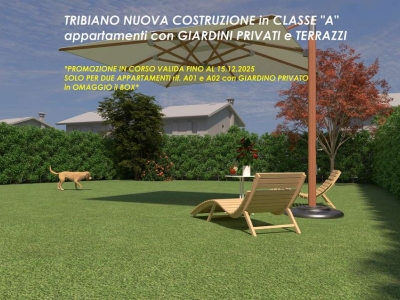 immagine annuncio 1 di 9