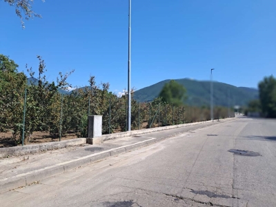 immagine annuncio 4 di 9