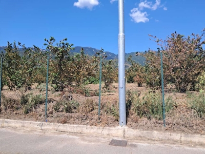 immagine annuncio 5 di 9