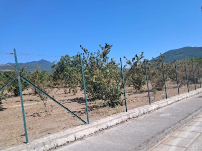 immagine annuncio 7 di 9