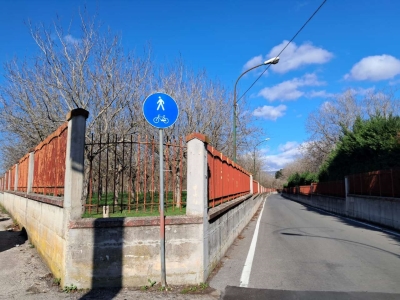 immagine annuncio 4 di 9