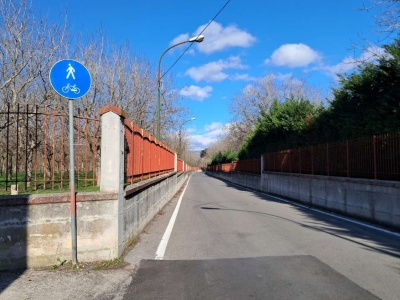 immagine annuncio 6 di 9
