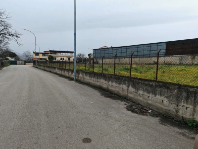 immagine annuncio 4 di 7