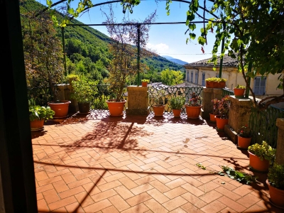 immagine annuncio 2 di 9