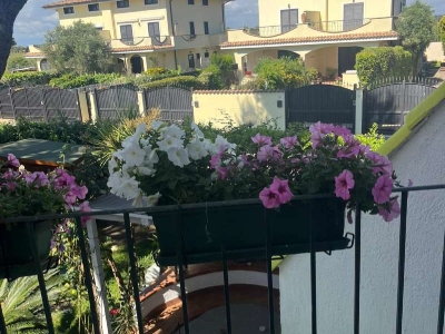 immagine annuncio 6 di 9