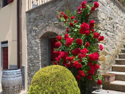 immagine annuncio 2 di 7