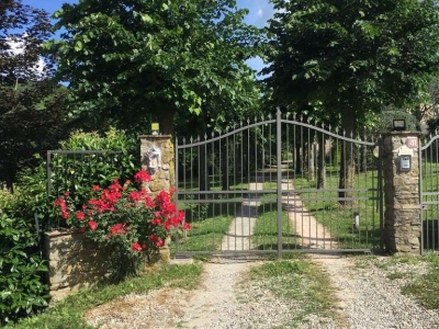 immagine annuncio 3 di 7