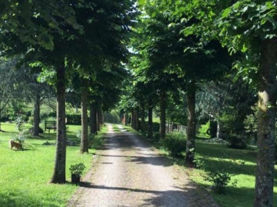 immagine annuncio 5 di 7
