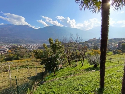 immagine annuncio 1 di 9