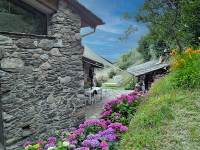 immagine annuncio 3 di 9