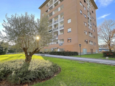 immagine annuncio 3 di 9