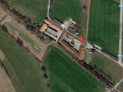 immagine annuncio 3 di 7