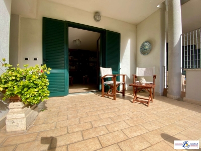 immagine annuncio 2 di 9