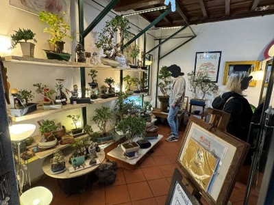 immagine annuncio 4 di 9