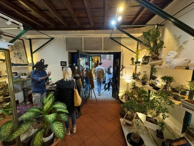 immagine annuncio 3 di 9