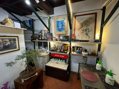 immagine annuncio 1 di 9