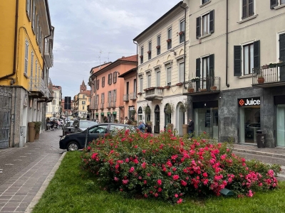 immagine annuncio 2 di 9