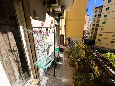 immagine annuncio 3 di 9