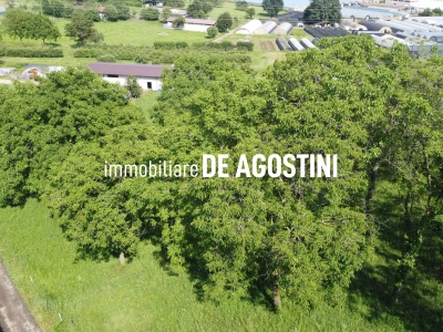 immagine annuncio 3 di 7